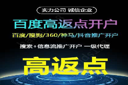 百度竞价包年推广策略深度解读与案例分析
